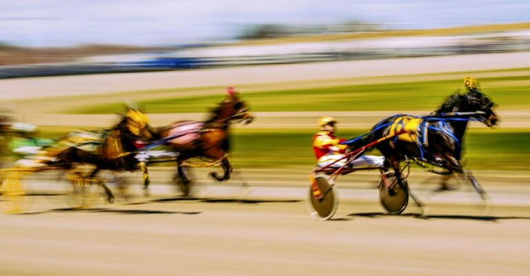 vernon downs wins tax relief