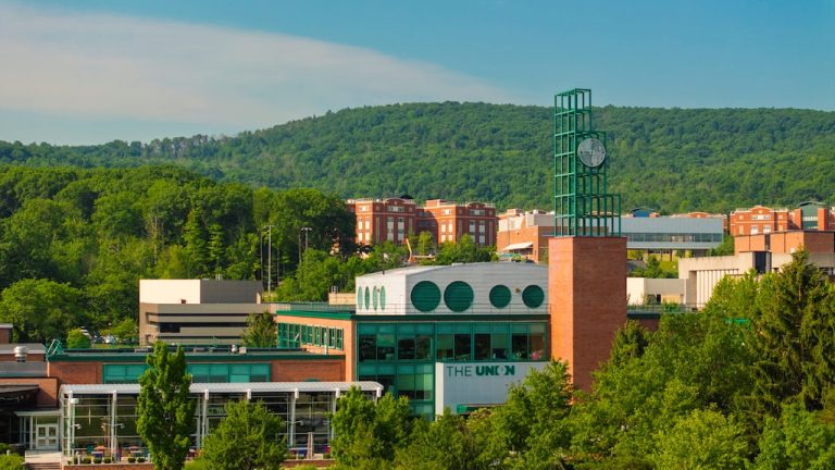 Binghamton University